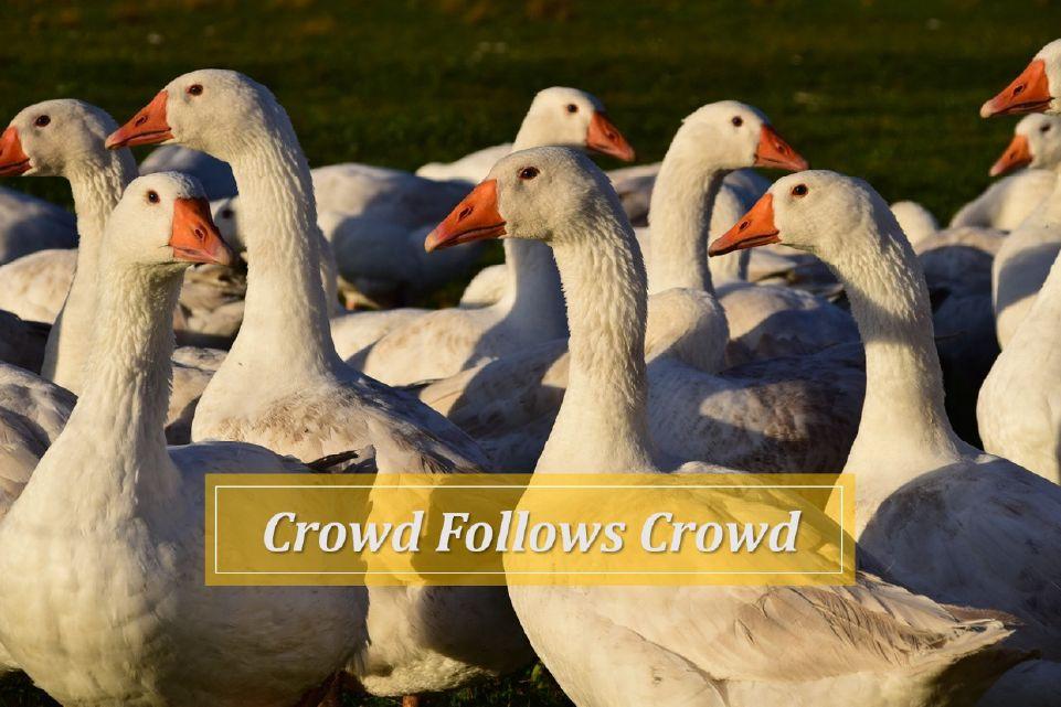 image Strategi “Crowd Follows Crowd”